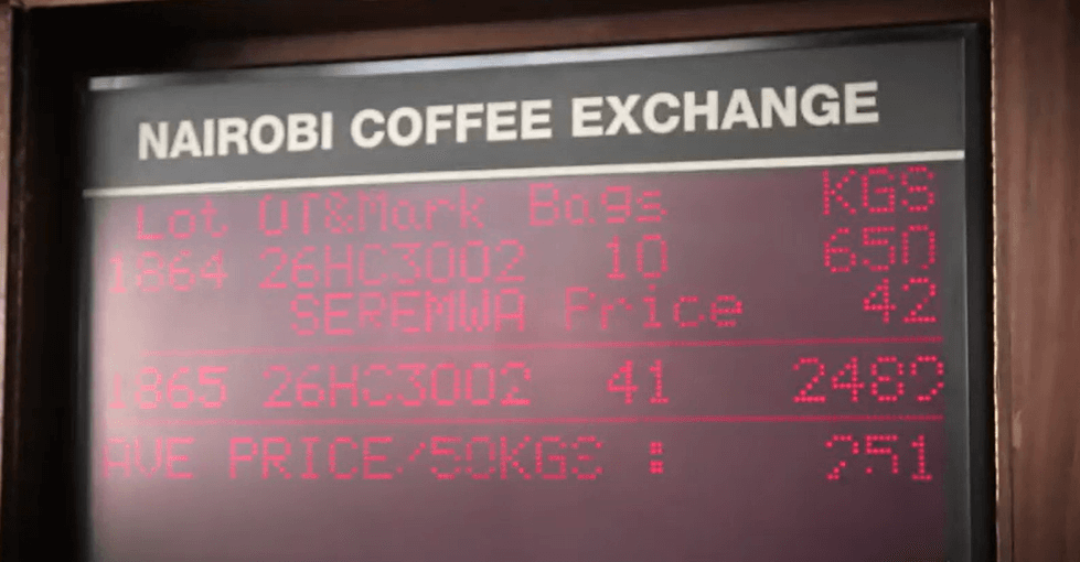 케냐 커피 산업의 한 축을 담당하는 경매