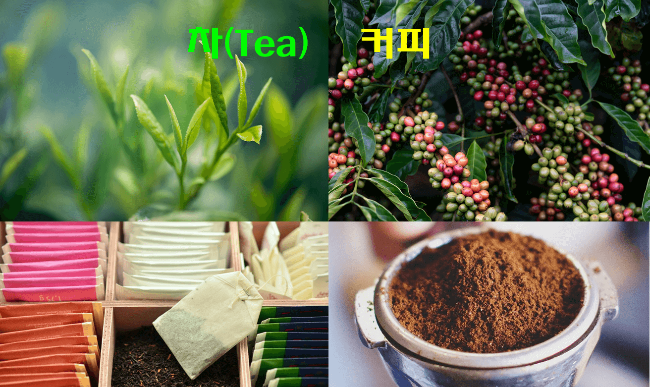 건강을 생각하는 음료, 기호식품 차(Tea). 커피의 대안일까? - coffee4m