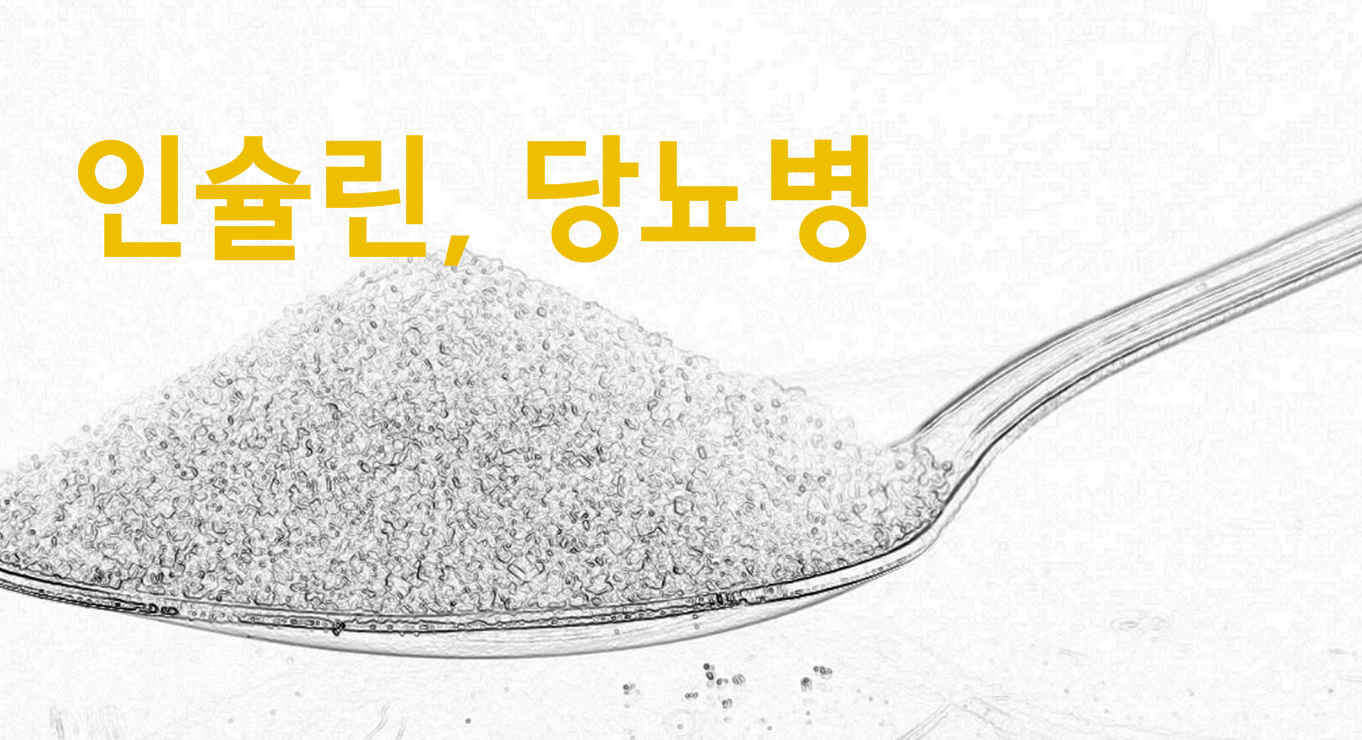 인슐린 당뇨병 관계