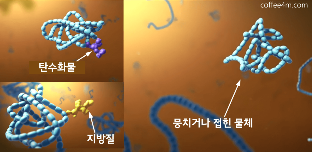 세포 구조 3D view : 물질의 사용