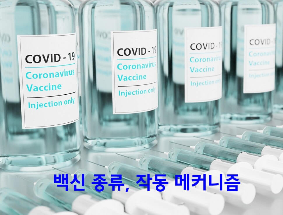 코로나19 백신 예방접종에서 사용하는 백신 종류