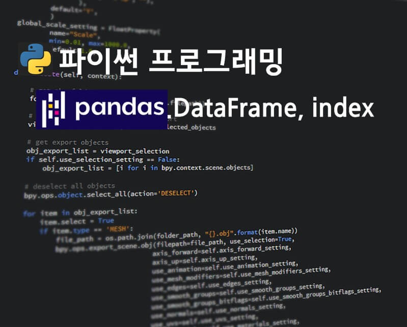 파이썬 데이터분석을 위한 판다스 인덱스