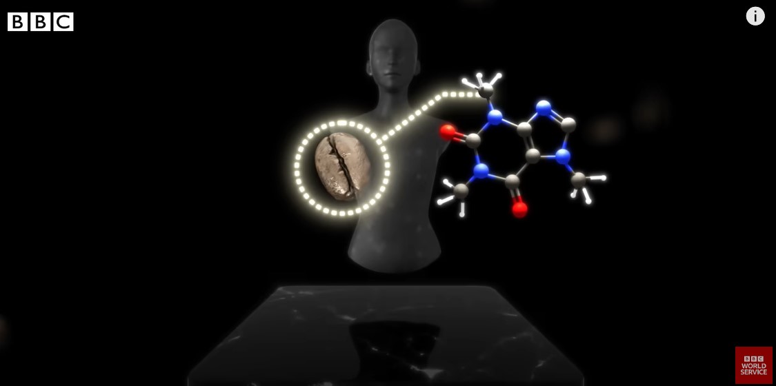 커피의 역사를 지탱해준 물질은 카페인